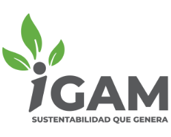 IGAM Logo